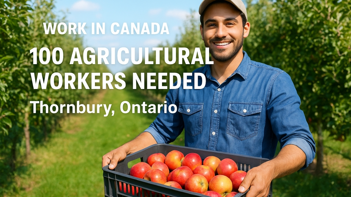 مطلوب 100 عامل زراعي في كندا براتب 17.60 دولار للساعة – دليلك الشامل للتقديم