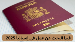 فيزا البحث عن عمل في إسبانيا 2025