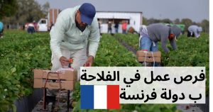 فرنسا فتح باب التوظيف لـ 80 ألف عامل في القطاع الفلاحي